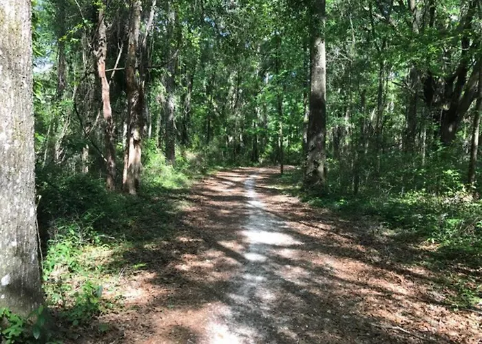 Appartement Town & Country Hideaway - 1br/1ba, 20 Min Famu/fsu Tallahassee